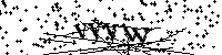 Inserisci le lettere qui sotto