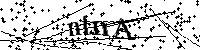Inserisci le lettere qui sotto